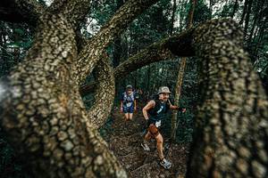 BIB: 
                            <button type="button" onclick="openModal(25393050)" class="btn btn-primary btn-sm float-right btn-popup" data-toggle="modal" data-target=".modal-high-quality">
                        <i class="fas fa-shopping-cart"></i> Add to Cart
                    </button>
                                            <button type="button" onclick="isThisMe(25393050, true)" class="btn btn-success btn-sm float-right btn-popup btn-isme hidden" data-toggle="tooltip" data-placement="bottom" title="นี่คือรูปของคุณใช่ไหม คลิกที่นี่เพื่อเอาเข้าอัลบั้ม">
                        <i class="fas fa-plus"></i> Add to album
                    </button>
                    <button type="button" onclick="isThisMe(25393050, false)" class="btn btn-warning btn-sm float-right btn-popup btn-isnotme hidden">
                        <i class="fas fa-ban"></i> Remove from album
                    </button>